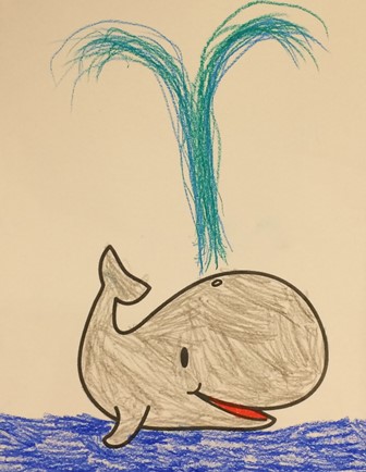 walvis tekenen